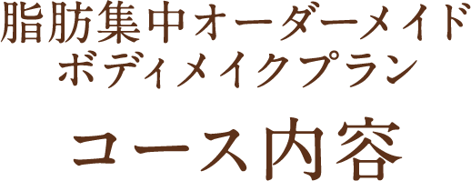 脂肪集中オーダーメイドボディメイクプランコース内容